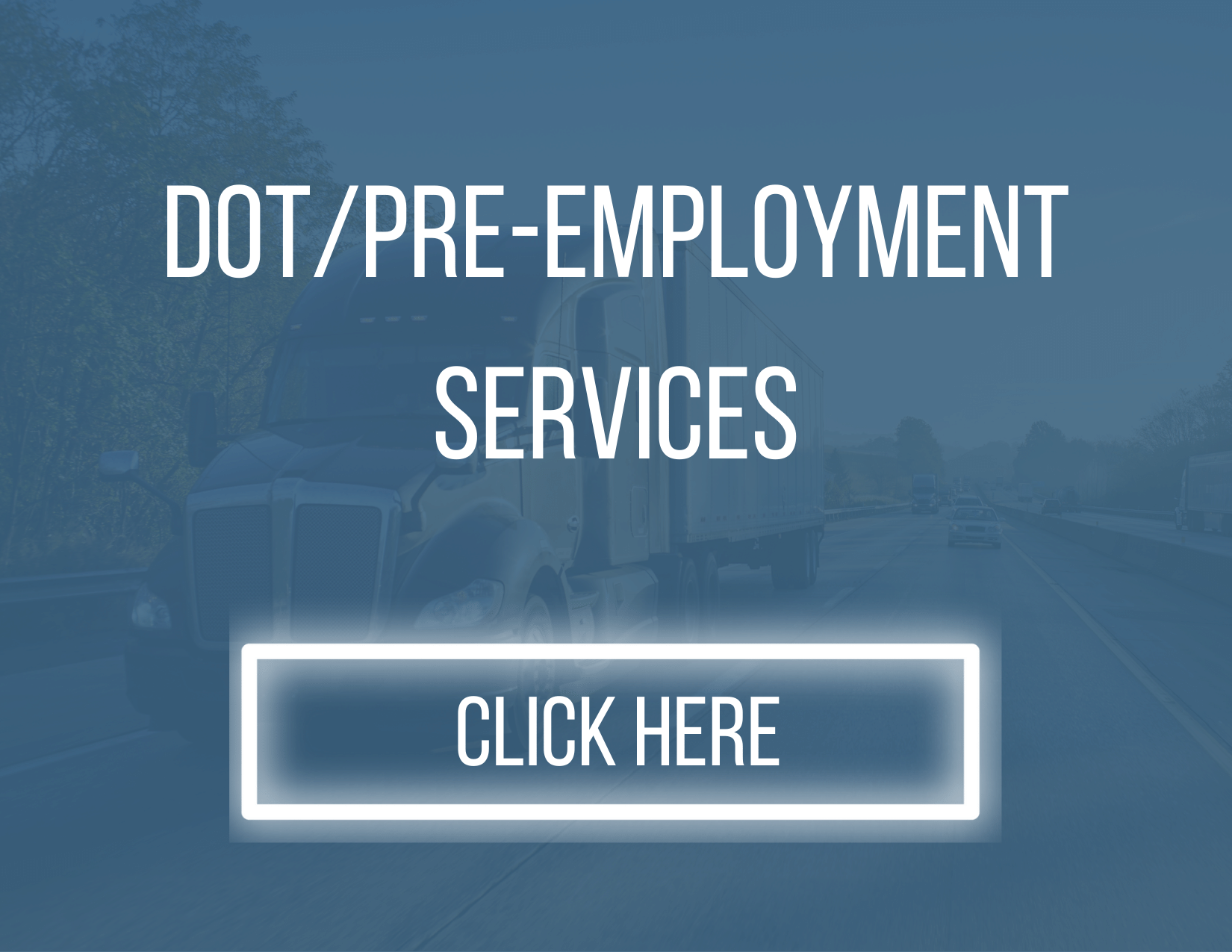 Link to DOT services page